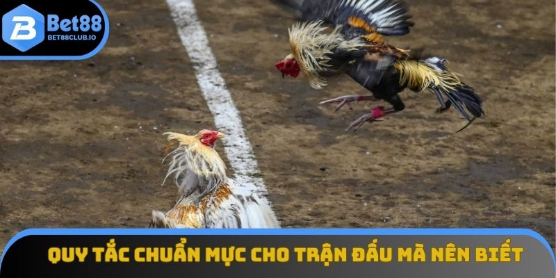 Quy tắc chuẩn mực cho mỗi trận đấu mà nên biết